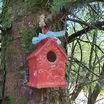 Campingplatz Forest Log - Ireland Ballyconnell (Cavan)