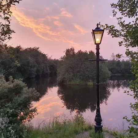 Forest Log - Ireland Campsite *