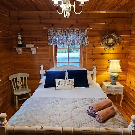 Forest Log - Ireland Campsite